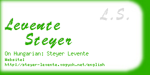 levente steyer business card